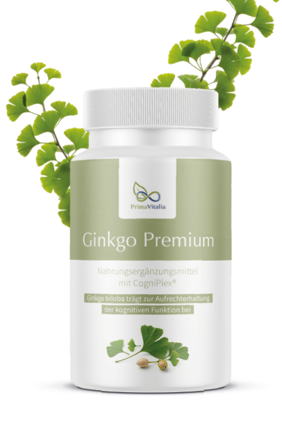 Gingko Premium mit CogniPlex